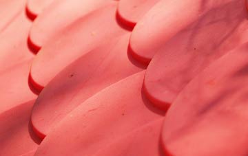 Chitterne plastic roof costs